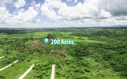200 Acre Property